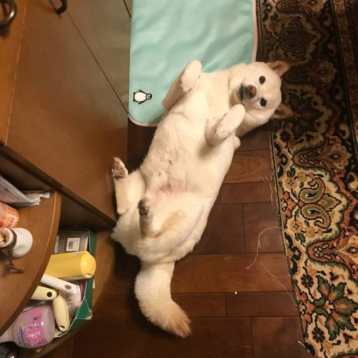 023bdd1c 0808 4c5d 8ef6 8a897d4ca257 1634223199106