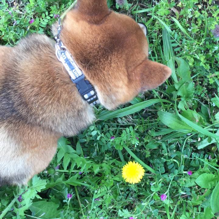 023bec0e dff0 4be6 907e 311f246281b7 1586937689296