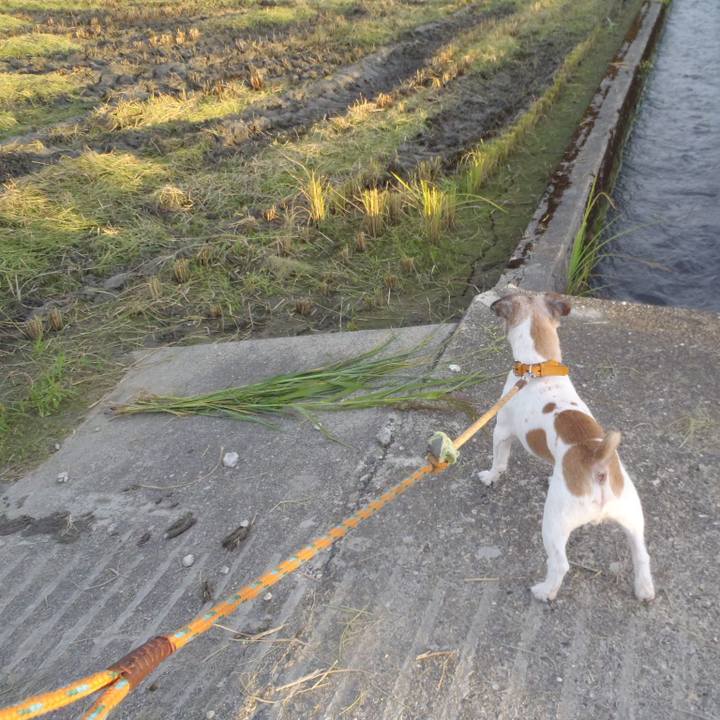 023c27cb 367c 4dbb b86e 4c997d273136 1567679987208