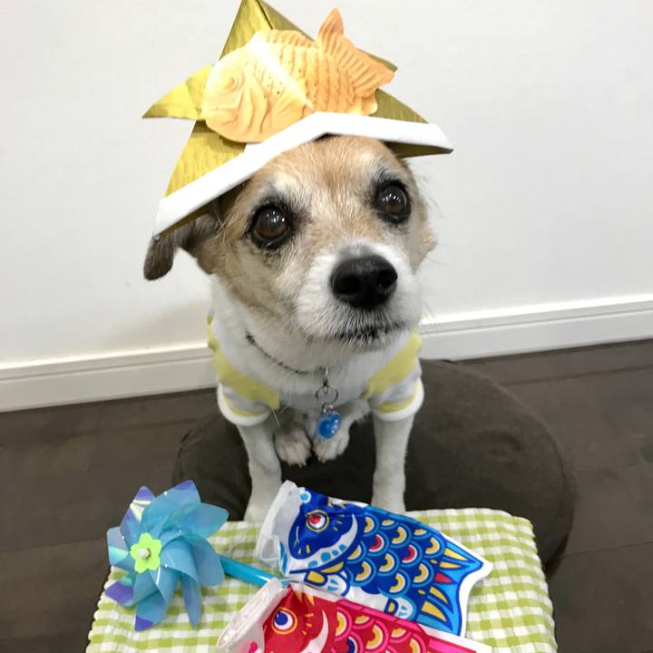 023c2cd6 c7c6 4e49 b81b 97b6af373fda 1620199806519