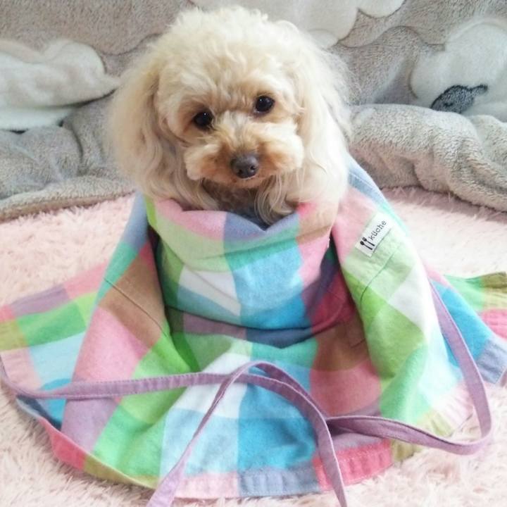 023c6d50 2b3c 4a48 9f73 f7ee6418bfe4 1524041460724