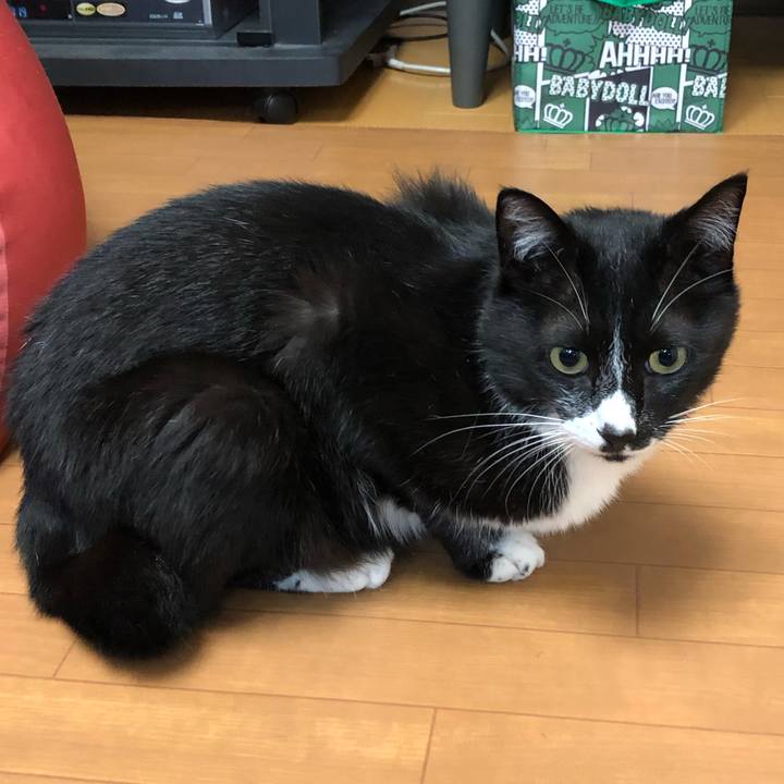 023c9930 d8c3 45ad bca5 baaa9879bacd 1562500226746