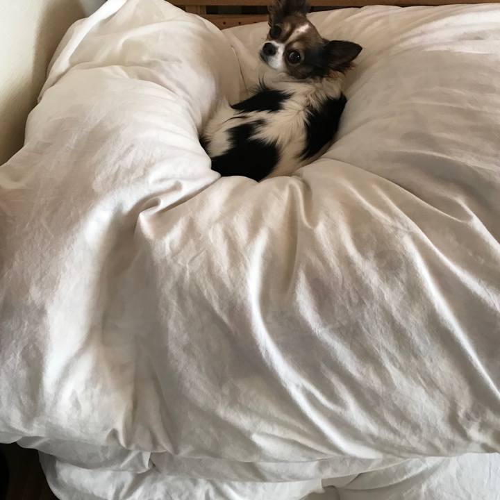 023d0b19 7137 44f5 a7a8 84caa7b33b1b 1556498817573