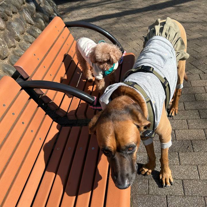 023d4662 d67d 452f afbb 6c847c23fdc4 1772692849502