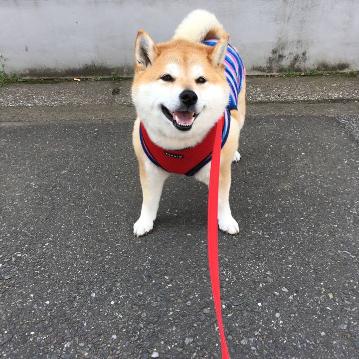 023d4972 4b40 43e5 b1a1 f1c65626745e 1583985177490