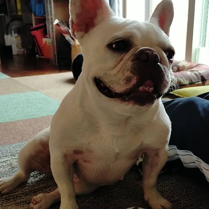 023d5d1b 9fb2 4281 aefb 096f3a5a4de1 1654121742004