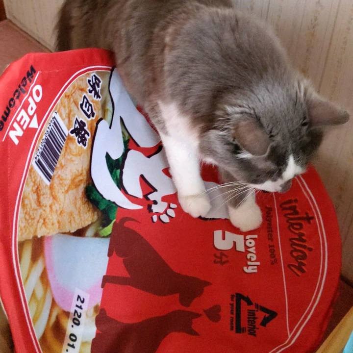 023d5d53 a3fd 4b47 b35b a113ebe86abb 1600745134330