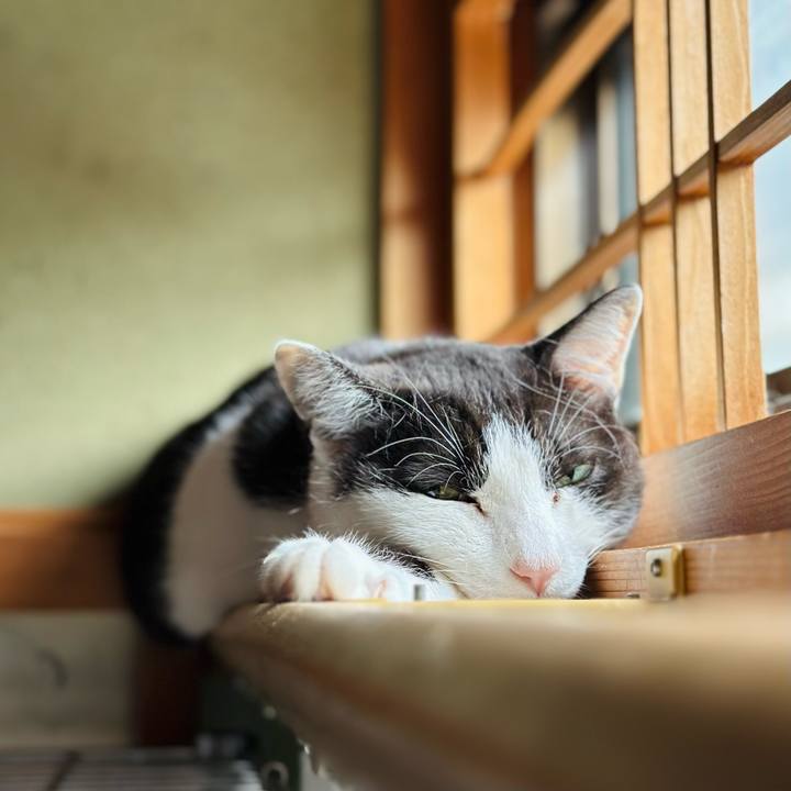 023db86f d21f 44fa 8619 97b3fbeb116d 1689731238534