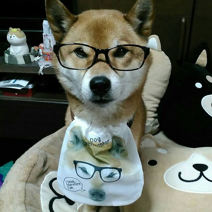 023e0ad5 7f51 4807 afa7 dba8a06791e9 1550132920836