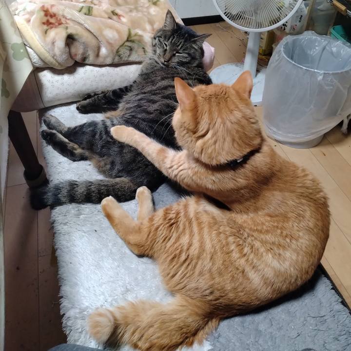 023e3467 6882 4427 b0db 34b9d76fb62e 1670563758888