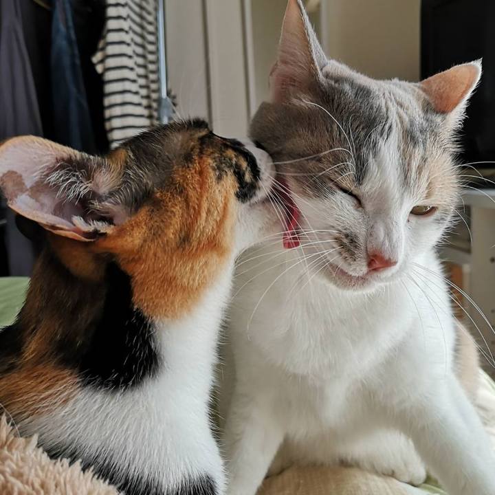 023e567a 8faa 476f bb27 3a58e2fc59fa 1614240953704