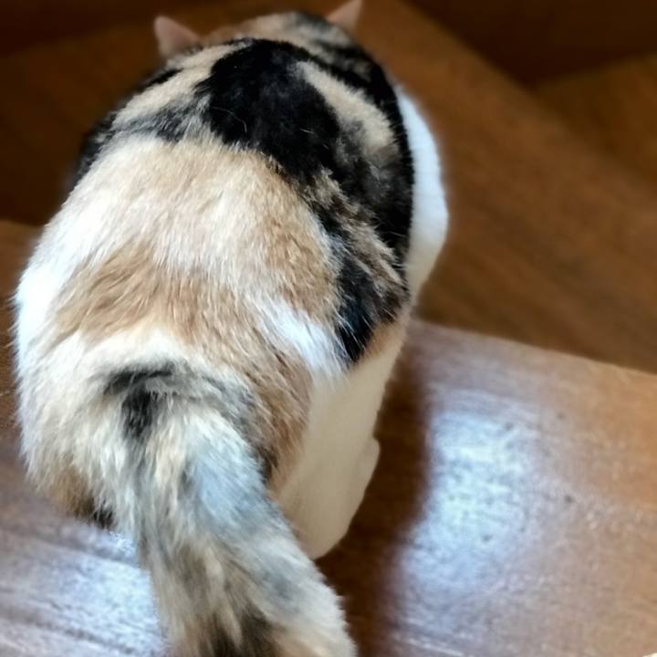 023e58b1 89df 4d38 918e 989f620a9ed2 1537752517240