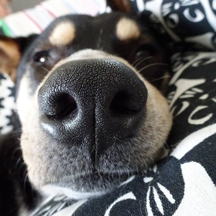 023e82cb 6216 4e60 963a 28372b3fdd1b 1523767951230