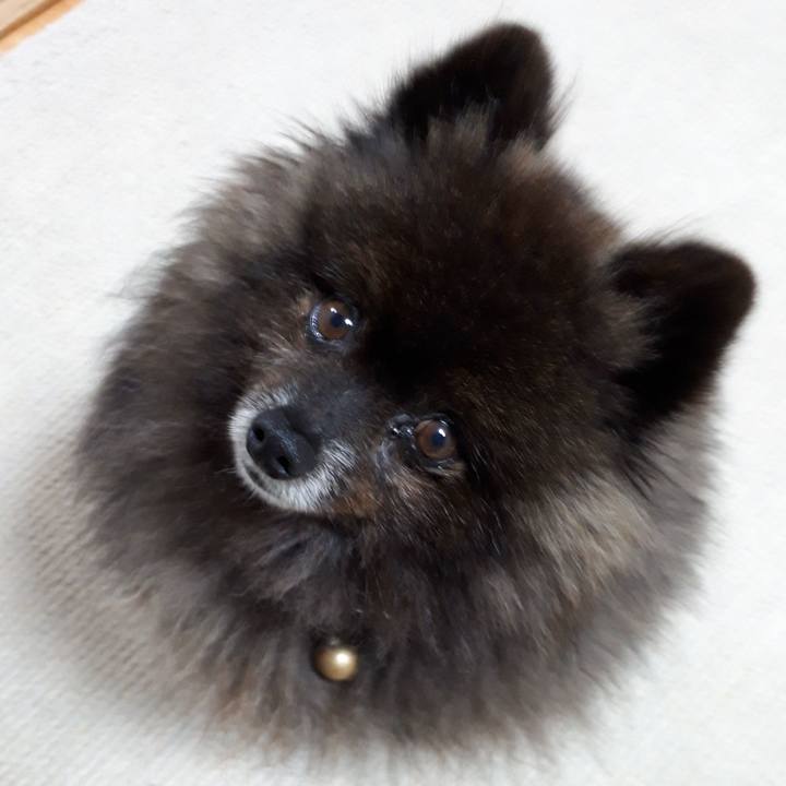 023f1932 9546 4868 b011 c1fa3df54085 1522785150131