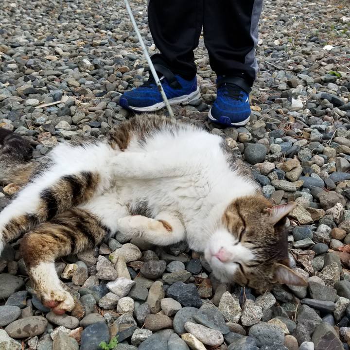 023f35fe eb39 4b64 9c93 ea689d8ca9ef 1589719652440