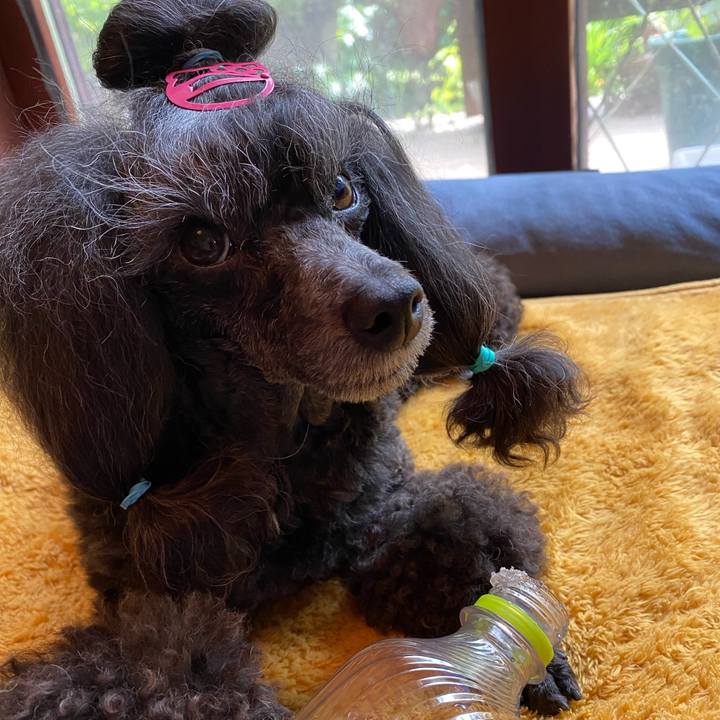 023f437f 498e 4763 8969 7a02b1c01321 1684728506986