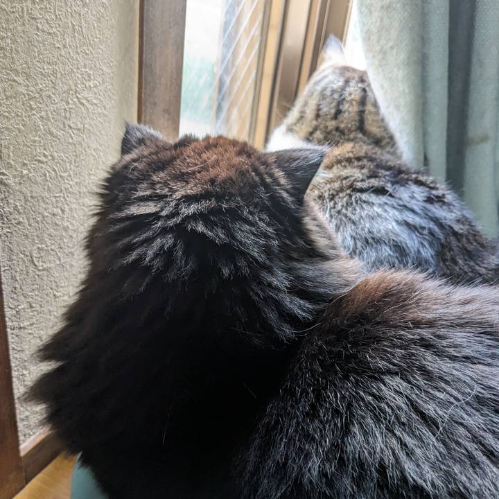 023f521f bd3d 4ecc b008 f05adf2cea13 1712477312580