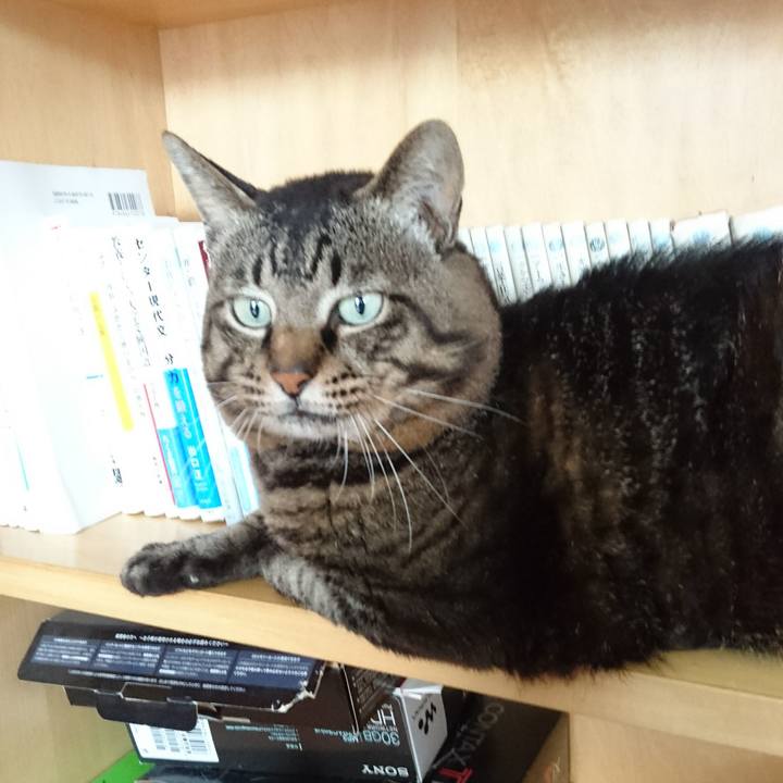 023f8399 9865 42e3 a242 2fa64b237185 1565350566184