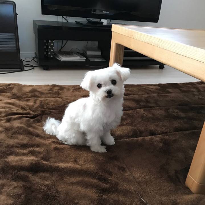 023fa575 ad33 42a6 9af9 99863ddd53bd 1509693437167