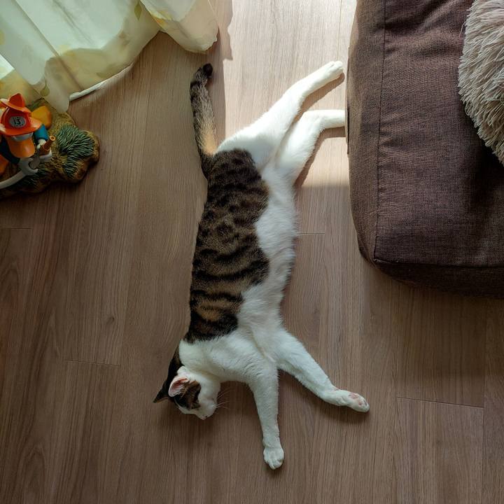 023fb224 228b 44a3 b726 10201ba1d8e0 1728955910755