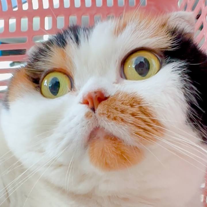 023fccdd d130 4c58 a988 160458720f14 1691209717390