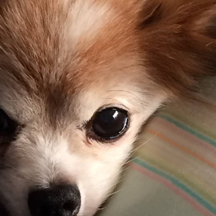 023ff101 89ff 4e5e 908a 50540e02c5fc 1660403191231