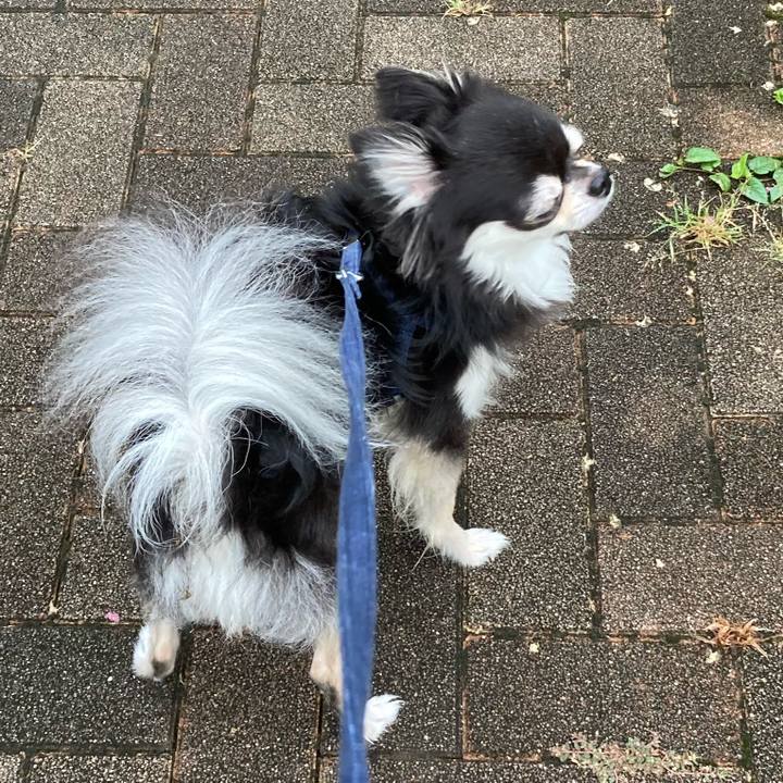 02405f31 7274 4fb1 b4bc 12ffc63b5ec0 1663474272064