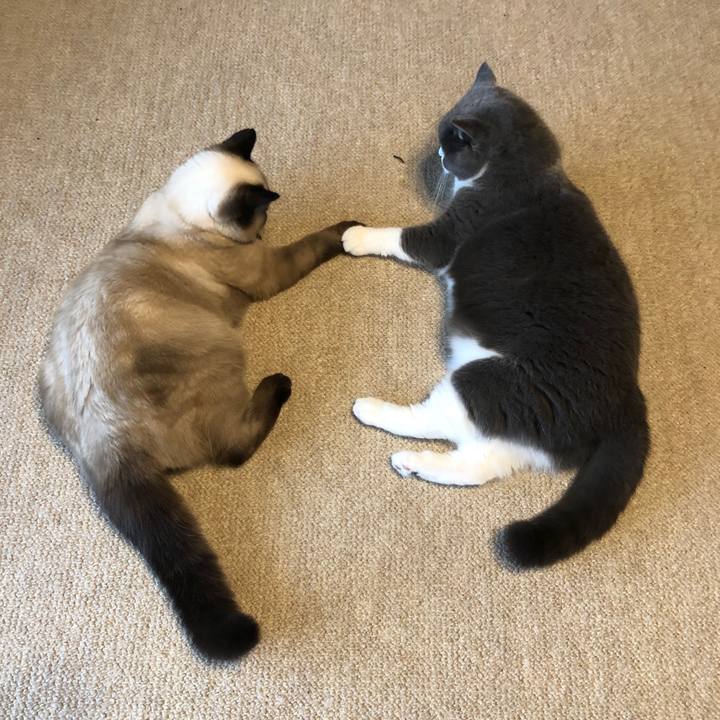 0240905f 2e4e 4873 830e 6b11fb543f8c 1596763413906