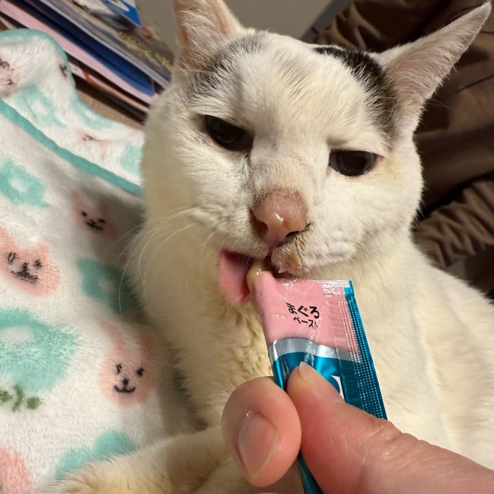 0240bb50 bcfa 4607 b3eb f4873370facd 1770549559214