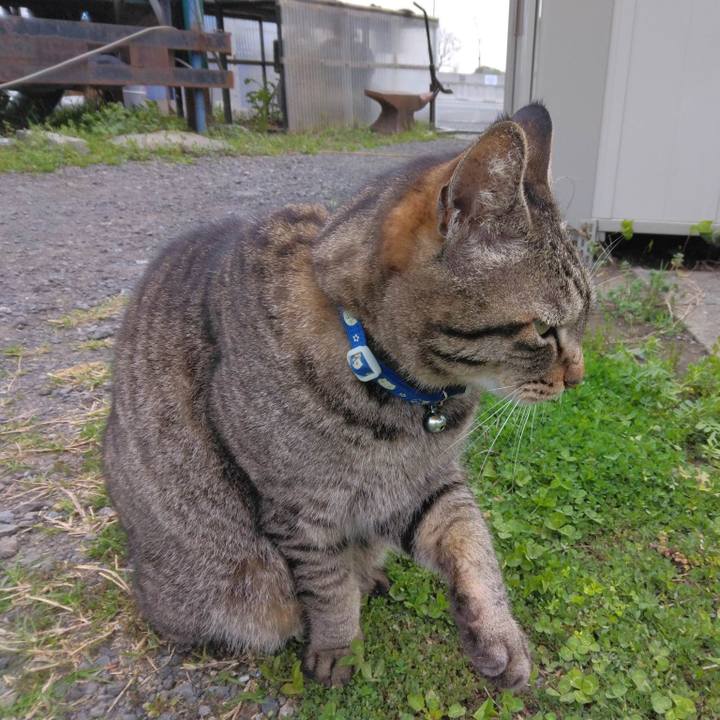 0240ead3 7863 4254 8060 f544bcc52b7a 1680393001666