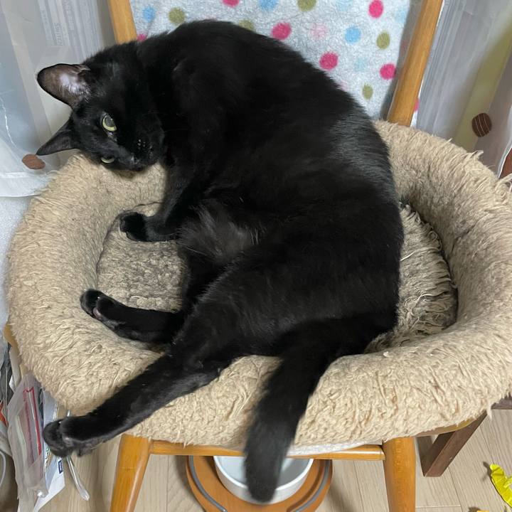 0240f92f abcd 43f0 b35b 39beb527d19a 1755163351949