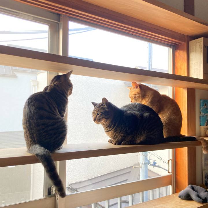 02410cfa ec54 411c 83e2 27b699bc88d0 1675827535167