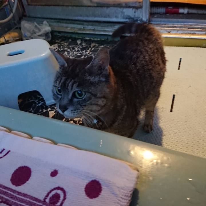 02411d83 504f 4e73 8128 77338007e809 1588066132571