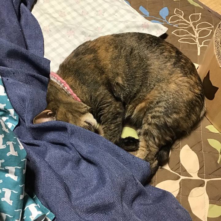 02414989 7784 4886 98cc afbb0ecf6755 1744721241485