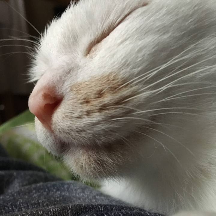 024152b9 dcbc 485c a989 9921a1b4c6e2 1539482189500