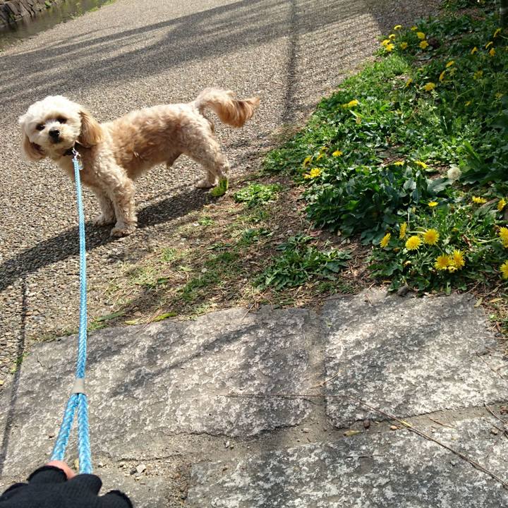 02415fcf 994e 4dc1 a5d0 cb1d8d079f08 1523165782235