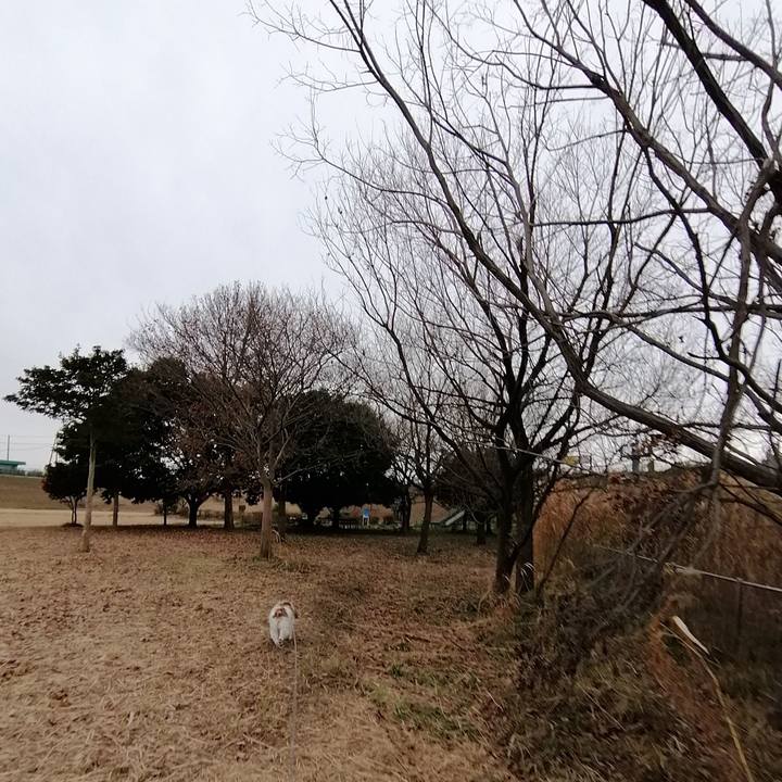 02419162 0e9a 4c6d 9545 d56263bbea61 1579248026316