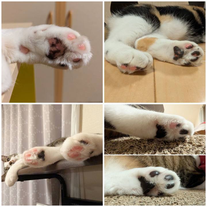 0241b716 7521 4ca2 aa90 d52c6efde467 1759206468345