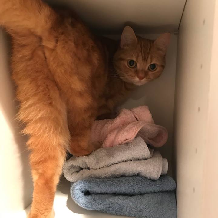 0241b7de 3585 4528 96d8 35e883150415 1527460663310