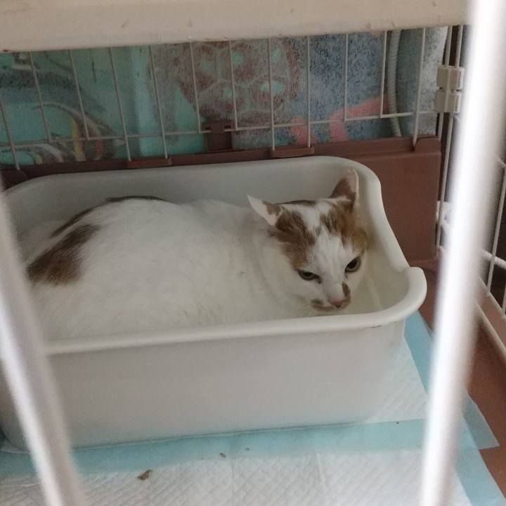 0241be43 f3c2 44e2 b99b 937fa3662e64 1654766745305