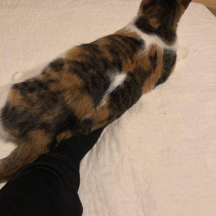 0241c217 1175 47b4 bd57 a5b80ac6e0ed 1605531392776