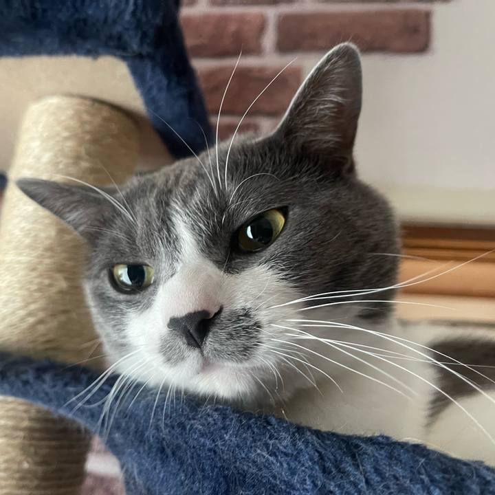 0241d662 a454 4f00 8881 7b461d0d0625 1647989181377