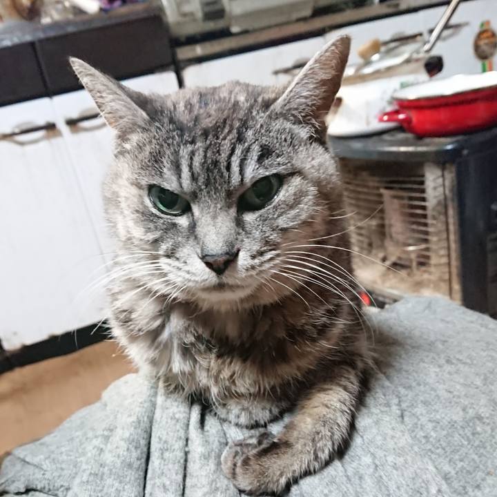 0242089a a4e1 4ddb 939b c285331e7908 1578737789538