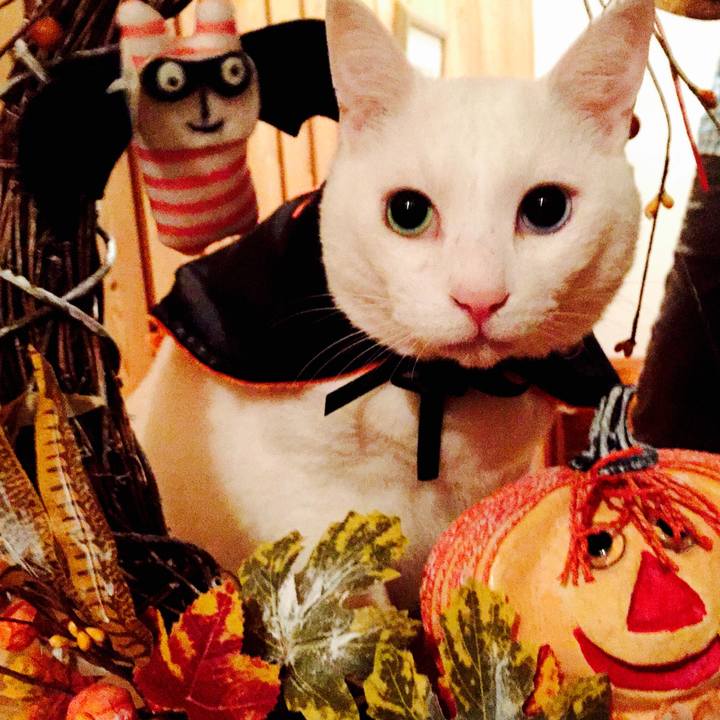 02421e01 e63e 4e61 947f 976fd94e1d6e 1509442166136