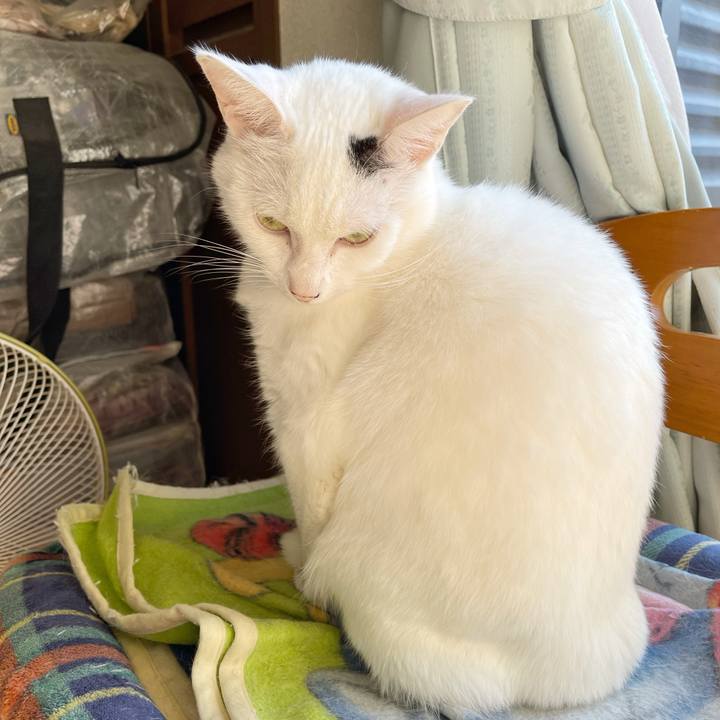 0242589f 46dd 490e 9853 12c6829e42c0 1765079361152