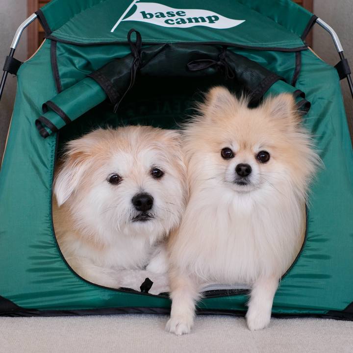 024273a3 d509 409a 95a7 2b44521f83b8 1772228643900