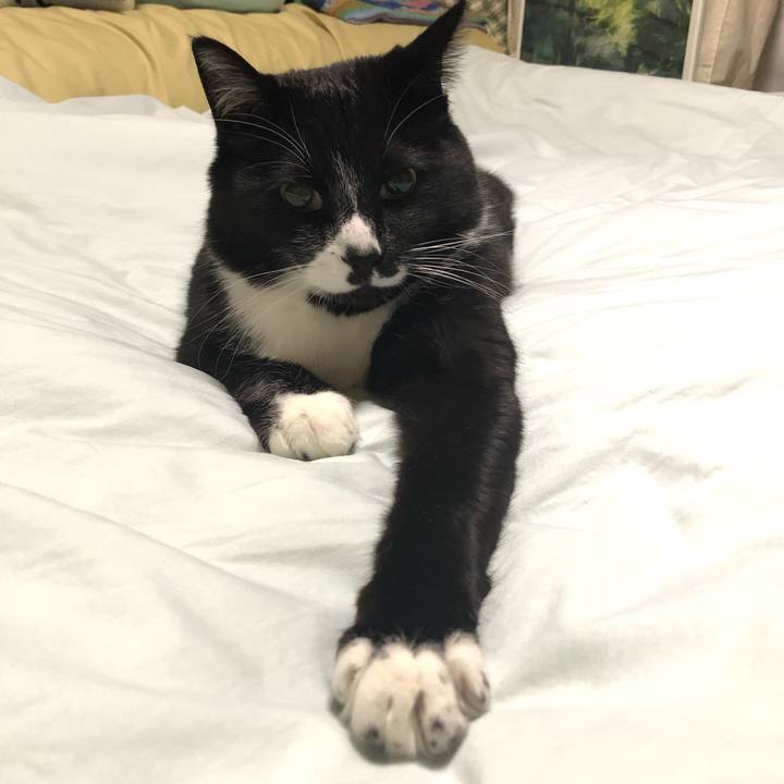 02428c9e ba0f 4bcd 842e 375960c9060a 1622087172078