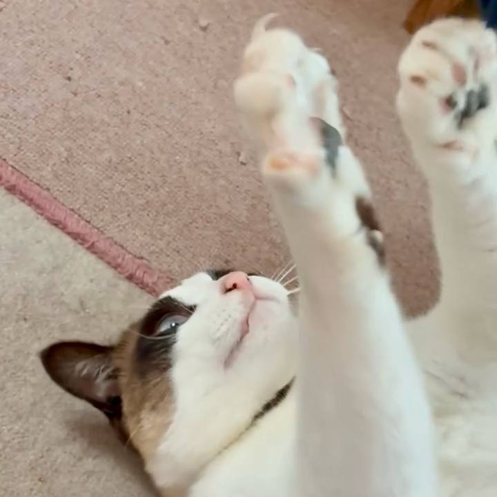 0242a900 6058 4f59 8859 4e253febd54e 1748313186031