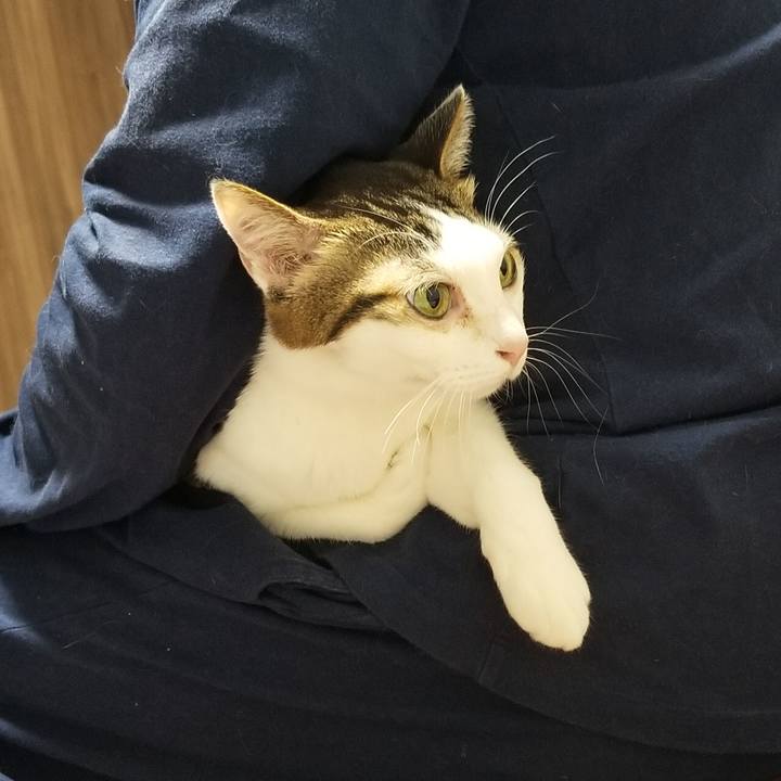 0242bc8e 79c1 4496 9d38 ce9edda93407 1609504777137