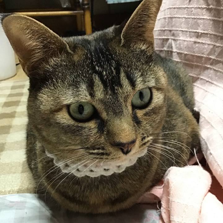 0242ea15 e821 47f8 b7e8 b7a86f8c30bd 1739878337212